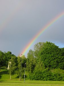 img_8256.jpg