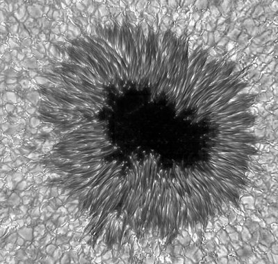 solflekk-adaptive.jpg