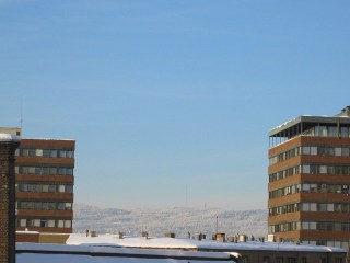 totaarn-small.jpg