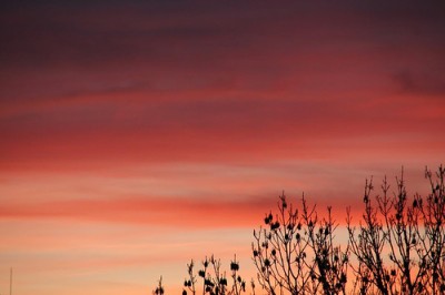 vinter-solnedgang.jpg